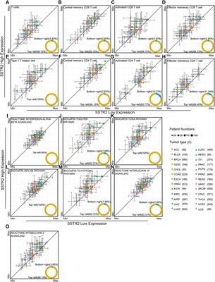 Somatostatin Receptor 2: A Potential Predictive Biomarker for Immune Checkpoint Inhibitor Treatment